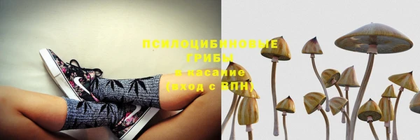 гашик Абинск